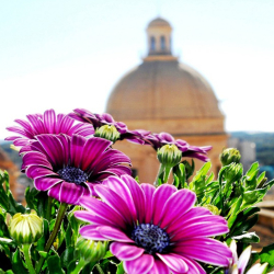 Hotel Il Castello Noto